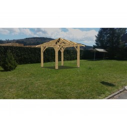 image 3d abri carbet