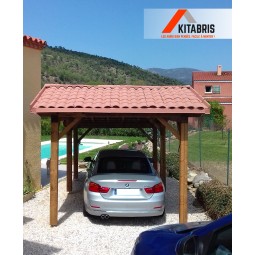 Abri de jardin carport