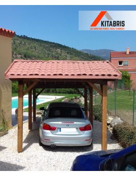 Abri de jardin carport